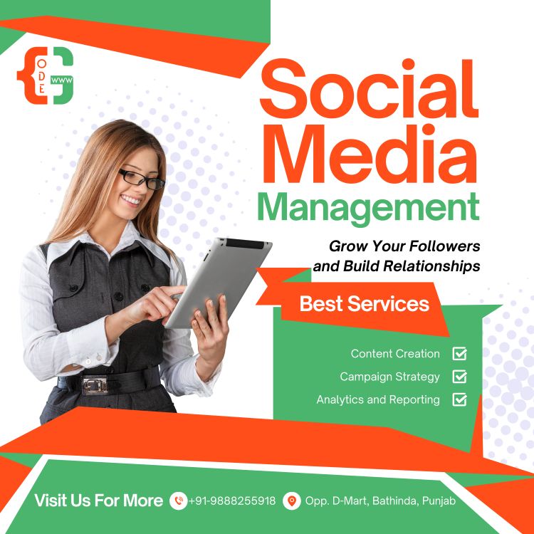 Social Media Management in Bathinda